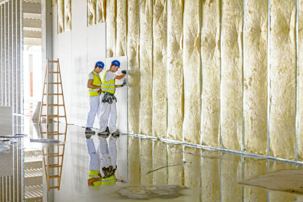 Types of Insulation We Offer in Frederick, CO